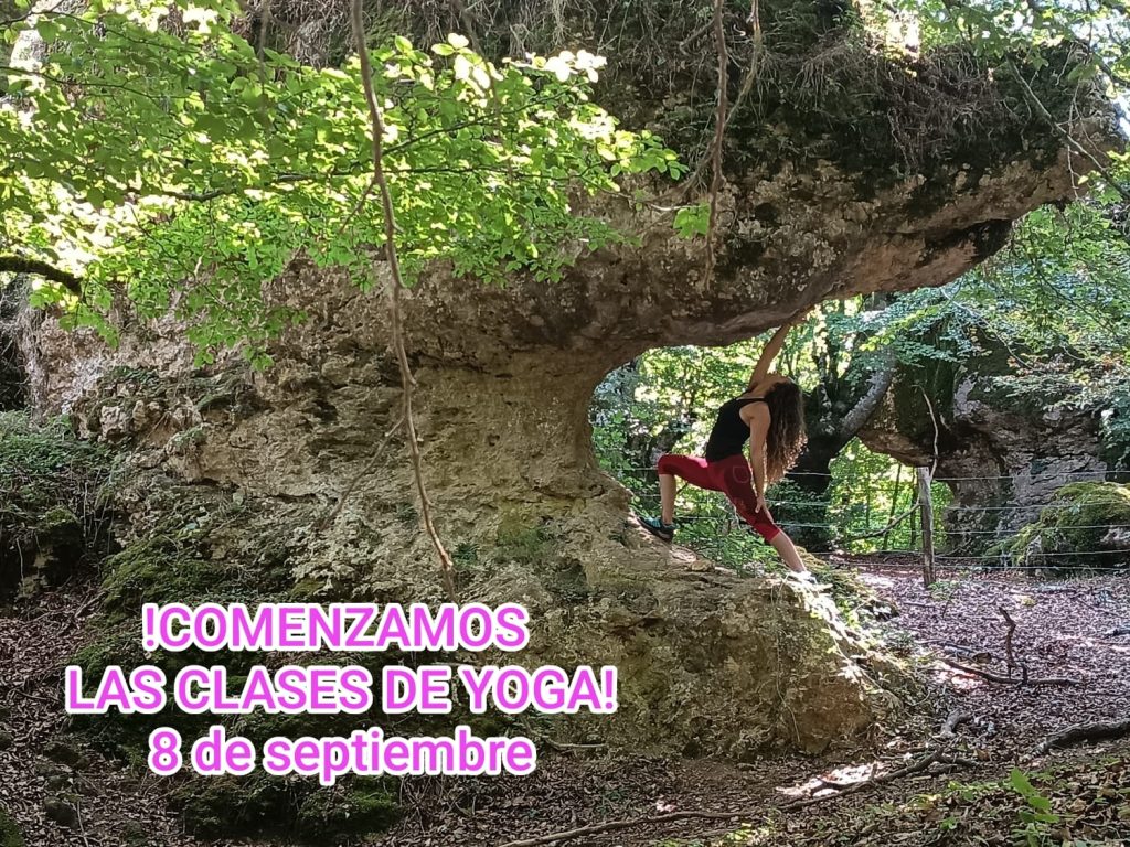 ¡Comenzamos las clases de Yoga!